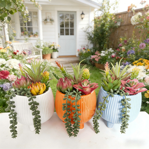 Ensemble <span class=keywords><strong>de</strong></span> pots en céramique côtelés avec des mélanges <span class=keywords><strong>de</strong></span> succulentes artificielles - Décoration intérieure/extérieure - Product Image 1