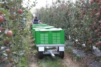 Zoomye Bin Train Bin Trailer : Remorque de transport pour la récolte en verger, compacte et flexible pour routes complexes