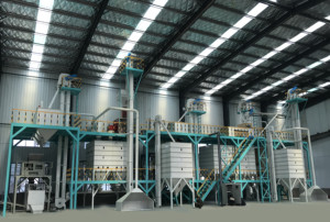 Hoàn chỉnh Hạt Giống Bông delinting ngô hạt giống lúa mì hiệu chuẩn lớp phủ đóng gói hạt giống máy làm sạch - Product Image 2