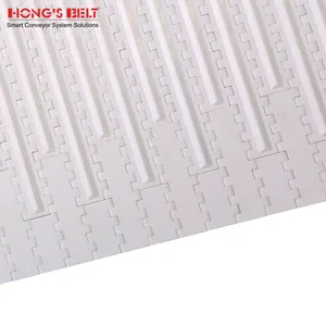 Hongsbelt HS-2500E <strong>Mini</strong> Rob Modular <strong>Belt</strong> Plastic <strong>Belt</strong> <strong>Conveyor</strong> Plastic Modular <strong>Belt</strong> - Product Image 3