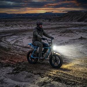 Bicicleta Eléctrica Todoterreno Resistente con Neumáticos Gruesos, Batería de 48V 16Ah, Bicicleta Eléctrica Resistente para Explorar Arena y Lodo - Product Image 5