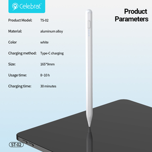 Stylet magnétique pour iPad 2018+ – Crayon capacitif antidérapant avec pointe remplaçable, chargement Type-C – Vente en gros CelebratTS-02 - Product Image 5