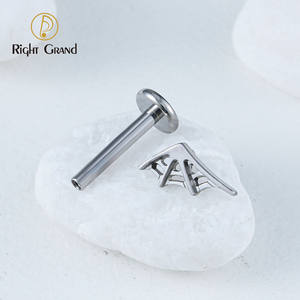 ASTM F136 Spinnennetz Ohrringe 8mm Labret Halloween Party Tragus Lippen piercing 16G PVD Gold Helix Knorpel Tragus - Product Image 3