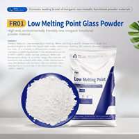 Anypowder Frit céramifiable à base de phosphate à faible point de fusion FR01 |   Adoucissant 450C |   Fondage total à 600°C |   pour