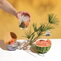 Vente en gros de sachets de thé Oolong glacé à la pastèque