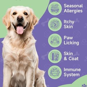 프라이빗 라벨 반려동물 건강 강아지 영양제, 피부 및 털 상태 개선, 반려동물 알레르기 및 면역 강화 파우더 (모든 품종용) - Product Image 2