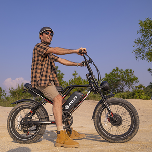 2000W 1000W 50kmh Lange Afstand Elektrische Fiets Fabriek Dubbele Enkele Achternaaf Motor Down Buis Batterij Populair In Ons Eu Voor Diy - Product Image 6