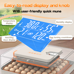 <span class=keywords><strong>Incubatrice</strong></span> per <span class=keywords><strong>uova</strong></span> HHD WONEGG a doppia alimentazione, 56 <span class=keywords><strong>uova</strong></span>, <span class=keywords><strong>incubatrice</strong></span> per <span class=keywords><strong>uova</strong></span> di <span class=keywords><strong>tacchino</strong></span>, attrezzatura per allevamento di polli, <span class=keywords><strong>incubatrice</strong></span> per <span class=keywords><strong>uova</strong></span> - Product Image 2