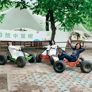 Professionelles Offroad-Kart mit Motorantrieb für Rennen – Langlebiges Gas-Go-Kart für Kinder und Erwachsene – Jetzt im Verkauf - Product Image 4