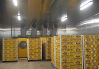 Contenedor Refrigerado de 20 y 40 Pies para Frutas y Verduras con Compresores Automáticos Copeland Emerson, Solución Integral de Construcción