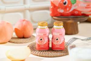 Viloe Life Little <span class=keywords><strong>Monster</strong></span> Boisson au lait fermenté à base de bactéries lactiques aromatisées à la pêche Boisson certifiée HALAL Emballage en bouteille - Product Image 2