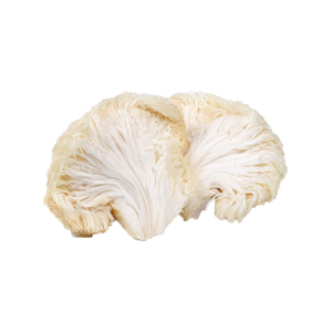 Extrait <span class=keywords><strong>de</strong></span> crinière <span class=keywords><strong>de</strong></span> <span class=keywords><strong>lion</strong></span> d'approvisionnement d'usine extrait <span class=keywords><strong>de</strong></span> <span class=keywords><strong>champignon</strong></span> <span class=keywords><strong>de</strong></span> crinière <span class=keywords><strong>de</strong></span> <span class=keywords><strong>lion</strong></span> <span class=keywords><strong>champignon</strong></span> crinière <span class=keywords><strong>de</strong></span> <span class=keywords><strong>lion</strong></span> - Product Image 3