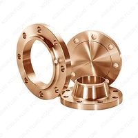 Bride en acier inoxydable forgé PN6 PN10 PN16 PN25 PN40 DN10 DN15 DN25 DN32 DN40 DN50 DN65 DN80 DN100, acier inoxydable 304 316 DIN EN1092