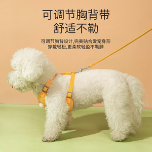 Correa bordada con diseño de margaritas para mascotas, chaleco de encaje para perros y gatos, correa de pecho y cuello para perros pequeños, transfronterizo - Product Image 5