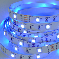 Pengendali Jarak Jauh APP Lampu Latar Pintar Fleksibel SMD5050 RGB LED Strip 12V/24V 30/60/120Leds/m IP65/68 Lanskap