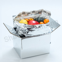 Boîte d'isolation thermique en Carton, 10 pièces, conteneur de crème glacée pour expédition, avec feuille d'aluminium, revêtement de boîte isolante, revêtement de boîte