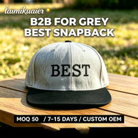 Casquettes Snapback 6 Panneaux en Gros – Haute Productivité, Fournisseur Fiable, Certifié BSCI, Logo Personnalisé, OEM ODM