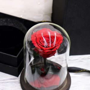 Vente flash eBay, prix bas, roses rouges et roses éternelles, mini petit prince, <span class=keywords><strong>rose</strong></span> préservée dans un dôme en verre - Product Image 5