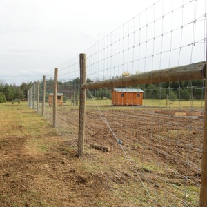 Cercas de Seguridad para Exteriores, Resistentes al Agua y a la Oxidación, para Campos, Granjas y Terrenos <span class=keywords><strong>Rurales</strong></span> - Product Image 6