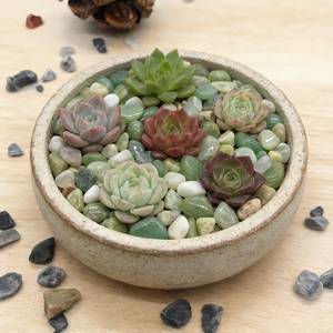 Piedras de <span class=keywords><strong>Río</strong></span> de Jade <span class=keywords><strong>Verde</strong></span> Pulido BOYA, Piedras Decorativas Naturales para Jardinería, Acuarios y Decoración de Exteriores - Product Image 6