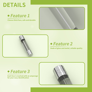 Ống ThủY Tinh Thổi Nhanh 0,1a ~ 30A Cầu Chì Thủy Tinh Thổi Nhanh 6X30 - Product Image 4