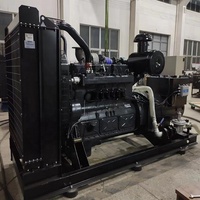 Groupe électrogène GPL propane 250 kVA de haute qualité, excitation sans balais, refroidissement par eau, démarrage électrique 24 V, 50/60 Hz, triphasé, industriel
