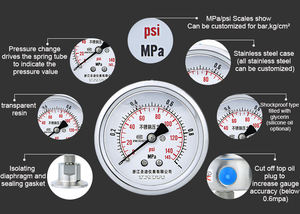 En kaliteli hassas basınç ölçüm ünitesi 2.5% gaz manometre tam SS diyafram hava basınç göstergesi - Product Image 3