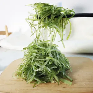 热销健康美味食品盐渍海藻片中国裙带菜片