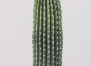 <span class=keywords><strong>Colonne</strong></span> de <span class=keywords><strong>cactus</strong></span> artificielle super grande pour café décoration d'intérieur paysage de plantes de sable - Product Image 4