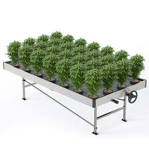 Mesas <span class=keywords><strong>de</strong></span> Cultivo para Invernadero Comercial, Mesa <span class=keywords><strong>de</strong></span> Cultivo Metálica con Ruedas, Mesa Hidropónica Móvil para Cultivo <span class=keywords><strong>de</strong></span> Plantas - Product Image 6
