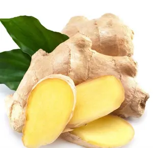 31 Years Manufacturer Direct Supply ginger rhizome ginger extract