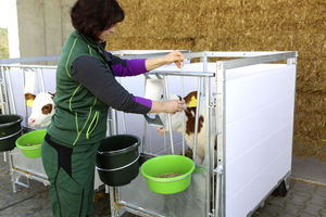 Nouvel équipement d'élevage de cage de maison de veau de condition pour des fermes d'élevage - Product Image 6