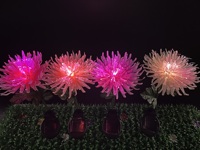 Lampe solaire de jardin à LED IP65 en forme de chrysanthème, à brancher, sans fil, avec contrôle de la température de couleur réglable, éclairage à fibre optique CRI