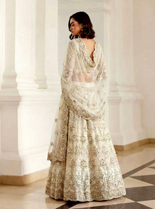 Vêtements ethniques pour femmes, tenue de soirée, lehenga, broderie papillon en filet, filet intérieur en soie Banjori, bordure en dentelle, lourdement orné. - Product Image 3