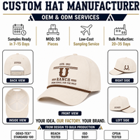 Casquette de golf personnalisée à 5 panneaux en crème avec panneaux perforés au laser et broderie de balle de golf ronde pour le sport, vente en gros OEM ODM