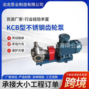 Pompe à huile à engrenages en acier inoxydable Bolong Kcb, matériau 304, entraînement électrique pour la fabrication - Product Image 5