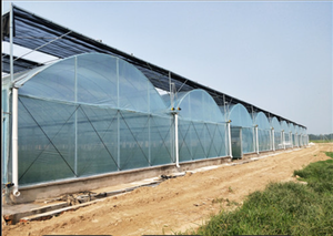 Promotion de lampes de <span class=keywords><strong>culture</strong></span>, jardin vertical hydroponique, collecteur de rosée, bâche préfabriquée transparente, rouleau de serre pour <span class=keywords><strong>oignon</strong></span> - Product Image 5