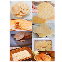Machine semi-automatique de ligne de production de Stroopwafel de bâton de biscuit de gaufre de cône en bois pour le commerce