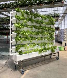 Torre Aeropónica de Alta Calidad, Sistemas de Cultivo Hidropónico Verticales, Invernadero Agrícola - Product Image 5