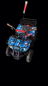 Buggy de Playa para Niños de Alta Calidad, Buggy Todoterreno para Parques de Aventuras, Parques Deportivos, Parques de Diversiones Metálicos en Oferta - Product Image 5