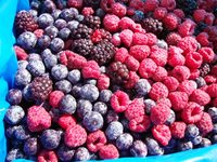 HACCP-gecertificeerde IQF Blauwe Bessen Gemengde Bessen Bulk Zoete Diepvriesbessen 24 Maanden Houdbaarheid