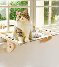 Per <span class=keywords><strong>Amazon</strong></span> basic <span class=keywords><strong>Cat</strong></span> Condo Tower 15.8X15.8X19.7 pollici durevole grigio interattivo appeso palla amaca peluche facile montaggio - Product Image 6