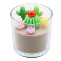 Fabricant de nouveautés Décoration intérieure en vrac de marque distributeur Plantes succulentes bocaux en verre de luxe Bougies parfumées