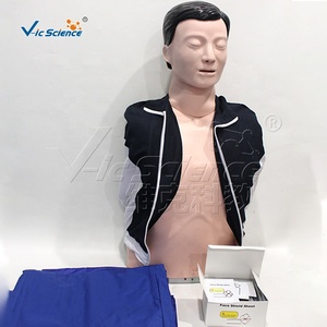 Simulador de RCP semielectrónico masculino para la enseñanza en escuelas de medicina, con cabeza <span class=keywords><strong>y</strong></span> cuello giratorios, elevación visible del pecho por compresión <span class=keywords><strong>y</strong></span> alarma. - Product Image 6