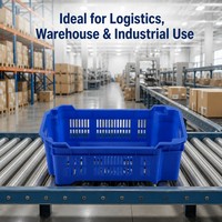 GAHH Caisses en PP perforées, empilables et emboîtables, gain de place, écologiques, durables, recyclables, multifonctionnelles, pour la chaîne du froid