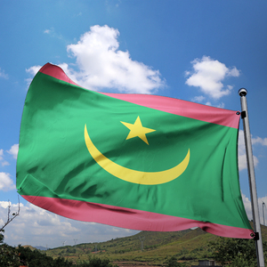 Banderas de paises impresas de doble cara, producto promocional, decoración al aire libre, 100% poliéster, personalizado - Product Image 2