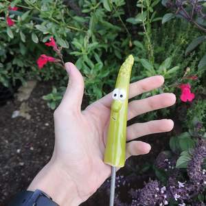 Anime Entourant Asperges Jardin Piquets en <span class=keywords><strong>bois</strong></span> Plante Logo Résine Artisanat Jardin Piquets Plante Artisanat - Product Image 6