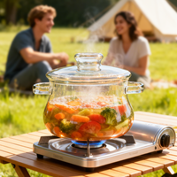Marmite en verre de 3,5 L pour cuisson en extérieur avec couvercle, compatible flamme directe, en verre borosilicate, pour camping, randonnée et camping-car