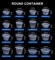 YQ391 500Ml Magnetron Wegwerp Plastic Container/Fruit Opslag Container/Lunchbox Noedels Kom