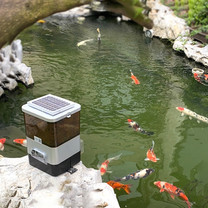 Alimentador automático solar para aquário ao ar livre, <span class=keywords><strong>koi</strong></span>, é usado para criar peixes e camarões, alimentando regularmente a bateria - Product Image 4